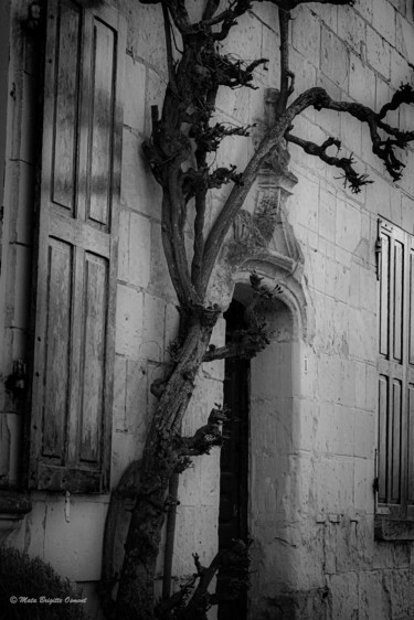 Photographie intitulée "The door" par Mata, Œuvre d'art originale, Photographie numérique