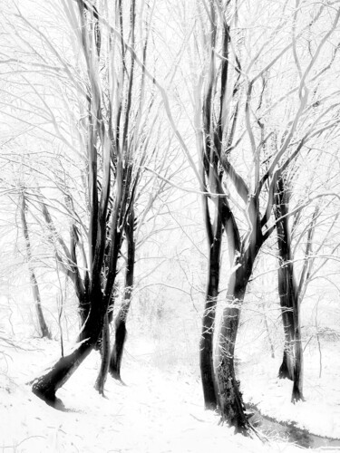 Photographie intitulée "Gleam" par Igor Borišek, Œuvre d'art originale, Photographie numérique