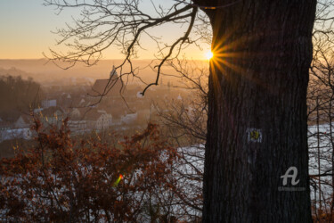 Photography titled "Golden evening ligh…" by Adriana Mueller, Original Artwork, Digital Photography
