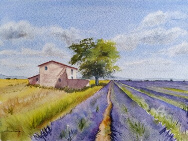 Plateau de Valensole Painting titled "Plateau de Valensole" by Horacio Cobas, Original Artwork, Watercolor