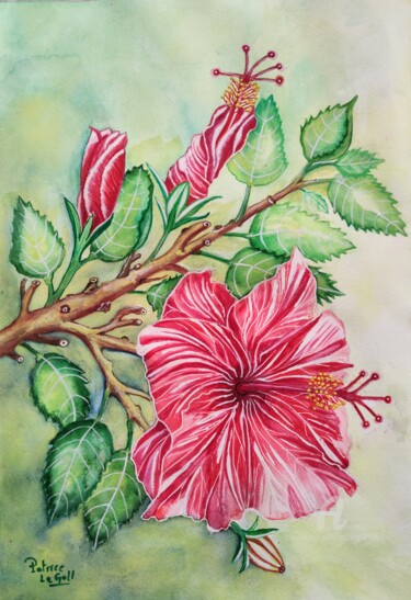 Painting titled "Branche d'Hibiscus" by Patrice Le Gall, Original Artwork, Watercolor