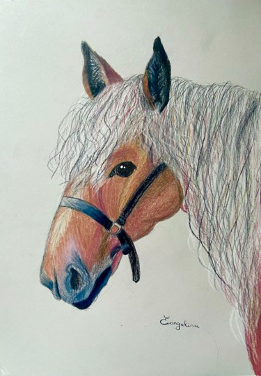 图画 标题为“Horse” 由Evangelina, 原创艺术品, 铅笔