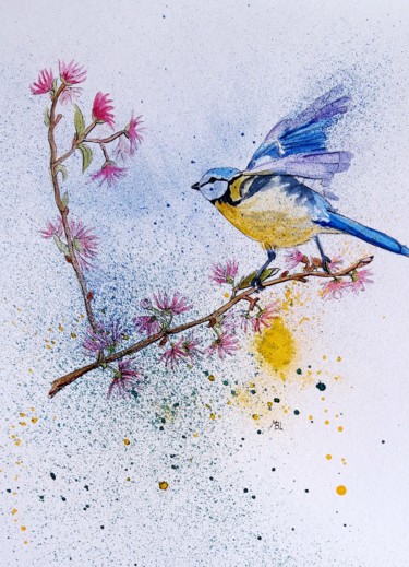 La mésange à tête bleue