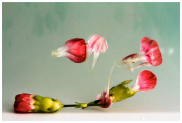 Photography titled "Primavera" by Sandra Platas Hernández, Original Artwork, Digital Photography