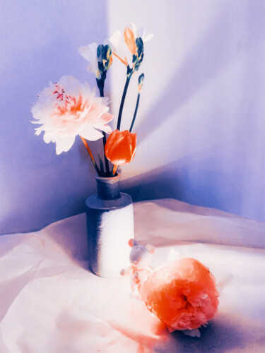 still life photography 2020-09 Arts numériques intitulée "still life photogra…" par Katherine Lee, Œuvre d'art originale, Travail numérique 2D