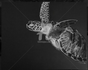 Ζωγραφική με τίτλο "Tortue de lumière" από Nadège Minder (Cocci), Αυθεντικά έργα τέχνης, Παστέλ