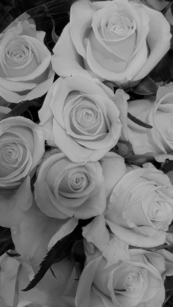 Photographie intitulée "Des roses  2/499" par Carlos Vieira, Œuvre d'art originale, Photographie non manipulée