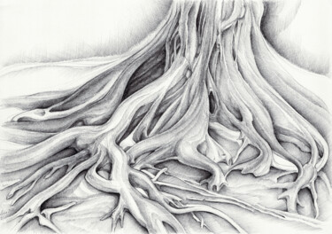 Drawing titled "Ficus Macrophylla I…" by Adriana Mueller, Original Artwork, Ink