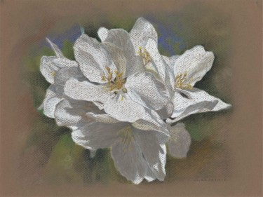 Drawing titled "SPRING BLOSSOMS" by Nives Palmić, Original Artwork, Pastel