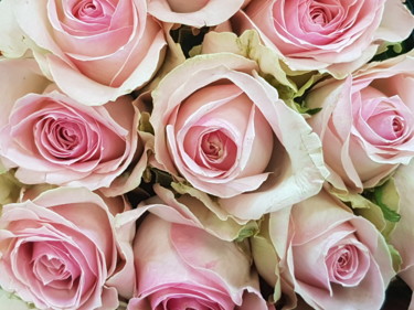 Photographie intitulée "Roses roses - 2/499" par Carlos Vieira, Œuvre d'art originale, Photographie non manipulée