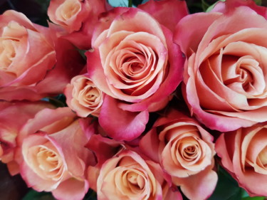 Photographie intitulée "Roses (155623) -  2…" par Carlos Vieira, Œuvre d'art originale, Photographie non manipulée