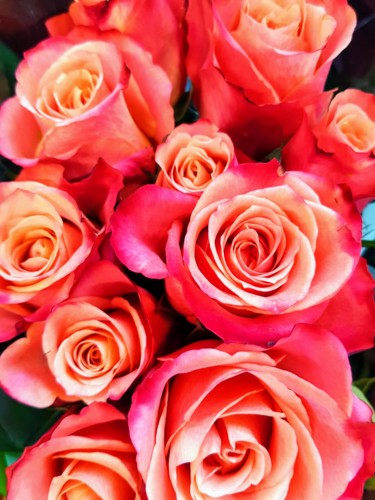 Photographie intitulée "Roses (155623- effe…" par Carlos Vieira, Œuvre d'art originale, Photographie non manipulée