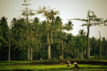 "Vrouwen aan het wer…" başlıklı Fotoğraf Chris Van Moorsel tarafından, Orijinal sanat, Fotoşopsuz fotoğraf