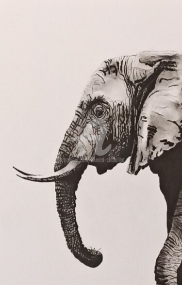 图画 标题为“L'éléphant 4” 由Laurent Chabrillat, 原创艺术品, 标记