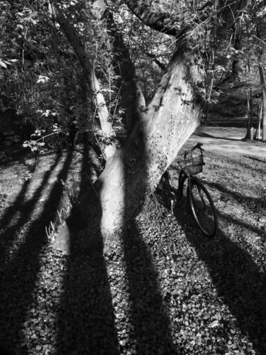 Photography titled "Jeu d'ombres" by Florence Pouget-Landrieu, Original Artwork, Digital Photography