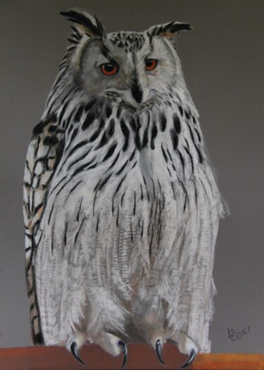 Peinture intitulée "Le grand duc" par Catherine Costet (Lccat), Œuvre d'art originale, Pastel