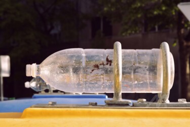 摄影 标题为“empty bottle” 由Alen Gurovic, 原创艺术品, 非操纵摄影