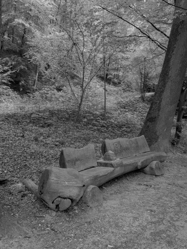 Photographie intitulée "Banc forestier - 2/…" par Carlos Vieira, Œuvre d'art originale, Photographie non manipulée