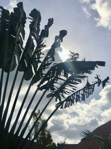 Photography titled "light, shadow and l…" by Katherine Lee, Original Artwork, Digital Photography