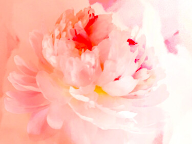 数字艺术 标题为“spring heart- peony” 由Katherine Lee, 原创艺术品, 2D数字工作