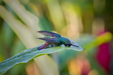 Photography titled "Morning Dew Spa 3" by Igor Borišek, Original Artwork, Digital Photography