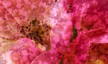 제목이 "Spring flowers afte…"인 디지털 아트 Katherine Lee로, 원작, 2D 디지털 작업