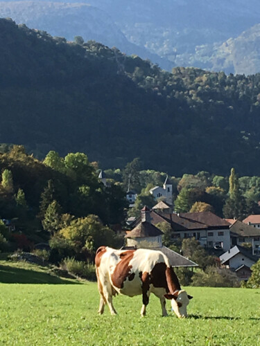 Photographie intitulée "Jolie vache" par Camille R., Œuvre d'art originale, Photographie non manipulée