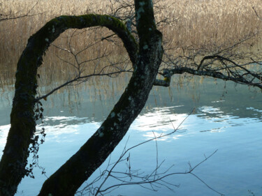 Photography titled "Arabesque" by Camille R., Original Artwork, Non Manipulated Photography