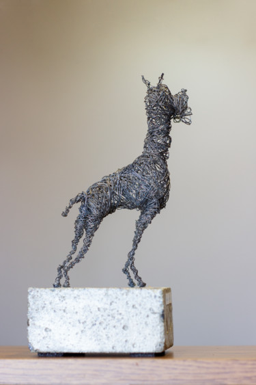 Expectation (22x12x10 1.1kg iron, concrete) 雕塑 标题为“Expectation (22x12x…” 由Karen Axikyan, 原创艺术品, 金属