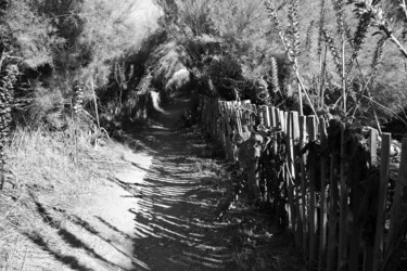 제목이 "Au creux du chemin"인 사진 Camille R.로, 원작, 조작되지 않은 사진
