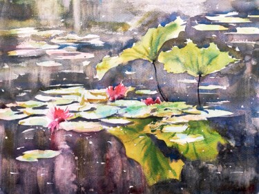 Waterlily pond reflections