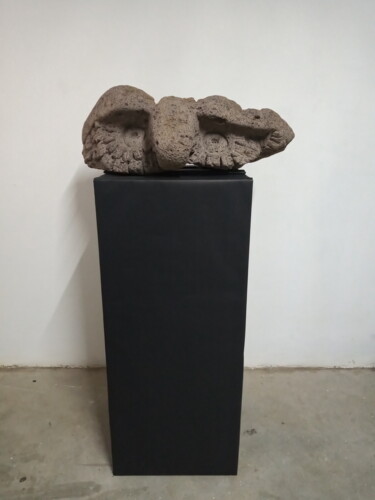 제목이 "Un búho"인 조형물 Teófilo Reyes로, 원작, 돌