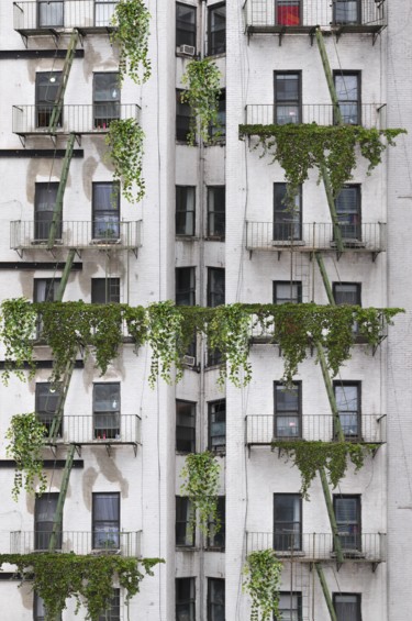 Photography titled "the green building" by Gaudi .C, Original Artwork, Digital Photography