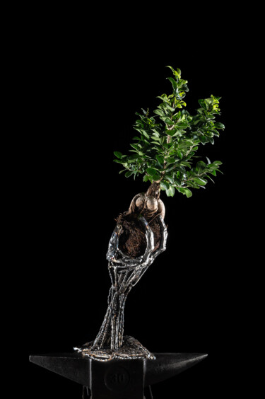 「Scultura artigianal…」というタイトルの彫刻 Manuel Quaresimaによって, オリジナルのアートワーク, 金属