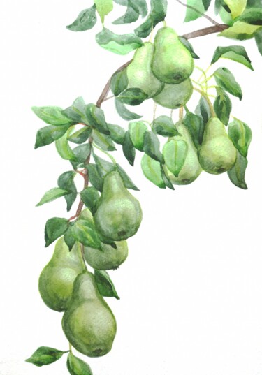 Pears on a branch. Watercolor ORIGINAL PAINTING Painting titled "Pears on a branch.…" by Alexandra Zatelepina, Original Artwork, Watercolor