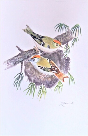 roitelets - aquarelle originale signée Peinture intitulée "roitelets - aquarel…" par Patricia Giroldini Hyvernat, Œuvre d'art originale, Aquarelle