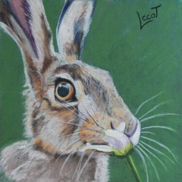Peinture intitulée "Le lièvre de nos ca…" par Catherine Costet (Lccat), Œuvre d'art originale, Pastel