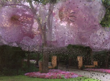 Φωτογραφία με τίτλο "Splendid Blossoms" από Artistry By Ajanta, Αυθεντικά έργα τέχνης, Ψηφιακή φωτογραφία