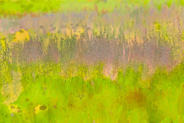 Photographie intitulée "Herbes folles" par Jean-Christophe Mandelli, Œuvre d'art originale, Photographie numérique