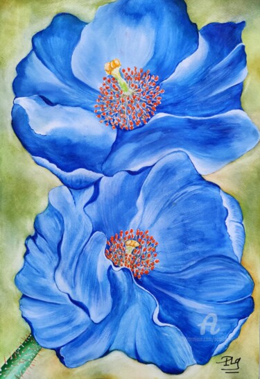 Painting titled "Les Pavots bleus du…" by Patrice Le Gall, Original Artwork, Watercolor