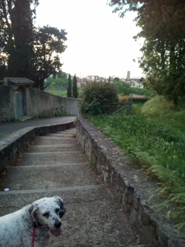 "Amélie" başlıklı Fotoğraf Patrizia Micheloni (Pz20FantaGhiro) tarafından, Orijinal sanat, Dijital Fotoğrafçılık
