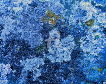Photographie intitulée "Retour aux sources" par Françoise Aubert-Moreau, Œuvre d'art originale, Photographie numérique