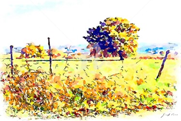 Campagna con alberi