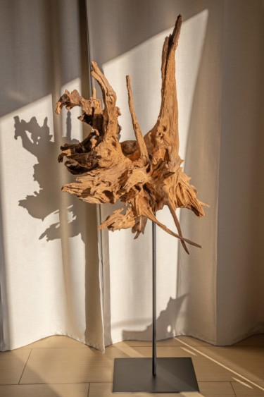 Sculpture titled "Acacia root sculptu…" by Jozef Sedmak, Original Artwork, Wood