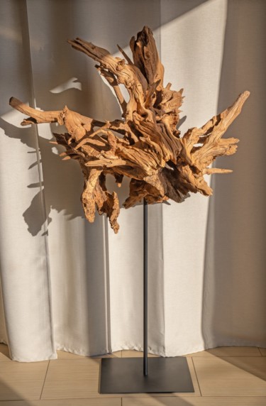 Acacia root sculpture Sculpture Sculpture titled "Acacia root sculptu…" by Jozef Sedmak, Original Artwork, Wood