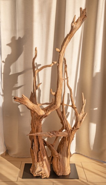 雕塑 标题为“Pine decorative scu…” 由Jozef Sedmak, 原创艺术品, 木