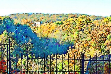 Paesaggio con inferriata e bosco