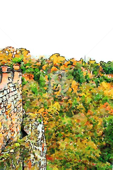 Bosco autunnale