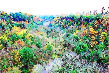 Vallata con bosco autunnale