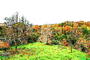 Giardino con vista sul bosco